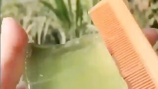 Extracting gel from a Aloe Vera plant - Grool