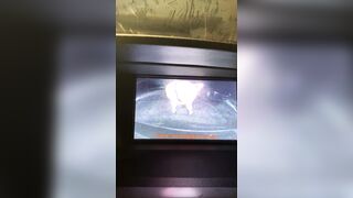 Gone Wild Public: Putting my ass in reverse ??