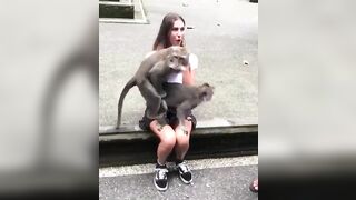 Glad Confused Gals: If there's smth tourists don't want to skip during their visit is a picture with the monkeys.