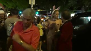 Bunny out in public