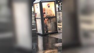 Flashing And Flaunting: caught pumping in a phone-box