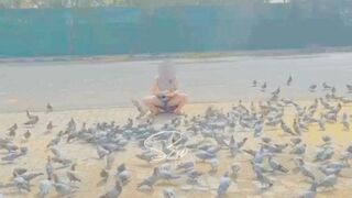Opps moment while feeding the pigeons. I don’t know but people must have looked at my milky legs and blue thongs