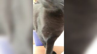 Gone Wild: Excuse me! I'm trying to take a sexy vid!